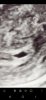 Screenshot_20221231-125637_Photo Editor.jpg
