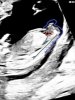 209DF28B-A226-483A-947A-11734F1E6325.jpeg