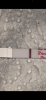 BBBE519E-B643-40F0-B35D-01B99526A96E.png
