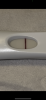 CCF6DCCE-72A0-4184-A663-AB0E79BC4245.png