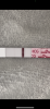 D5DD1C78-F19F-4086-BF7E-5F93E2E5CD0B.png