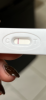 C8FC5FDA-AD8E-4860-8698-18F62F4A2712.png