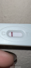 7BA09D94-0395-4427-9817-ED87A18972B3.png