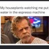 FB_IMG_1673652711799.jpg
