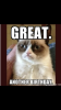 upload_2023-1-15_22-58-30.png