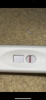 ED298B0E-2019-43B6-AB81-60A4F622423C.png