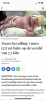 40DC6267-4E8A-4A22-8584-FF42410FA65F.png