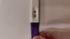 IMG-20230131-WA0002.jpeg