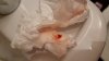 IMG-20230201-WA0000.jpeg