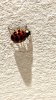 upload_2023-2-4_18-58-45.jpeg