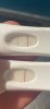 1776B77E-6242-43ED-853B-98BCBABD8A34.jpeg