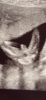 FE5781E1-847A-4CC5-8403-F22AAD2CCCB9.png