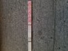 20230221_074249.jpg