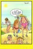 FB_IMG_1676986942202.jpg