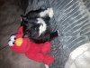 upload_2023-2-24_22-54-44.jpeg