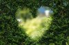 close-up-of-tree-against-sky-255441-300x200.jpg