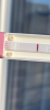 D6CB52F7-FFF2-4890-9657-3EAD4C579C85.png