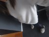 20230310_134523.jpg