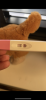 2B1F7E57-CD3B-4746-942C-A4560E0E83E4.png