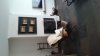 IMG-20230321-WA0017.jpeg