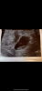 48C4136E-EECF-4A51-B085-F34AC9F01DA7.png