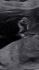 F0580AA4-6BA6-4C30-BFDD-52D20D3C5C23.png