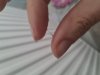 20230424_185619.jpg