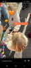 upload_2023-4-27_13-28-53.png