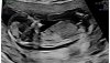 Screenshot_20230427-211733__02.jpg