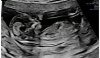 Screenshot_20230427-211733__01.jpg