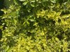 IMG_0495.jpeg