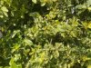 IMG_0498.jpeg