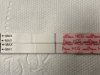 IMG_6737.jpeg