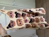 IMG_3756.jpeg