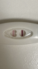 B40E2781-690D-4CBD-8822-7CB574E279F9.png
