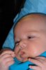 SAM_0365.jpg