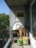 DSC05795.jpg