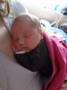 DSC01415.jpg
