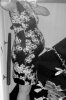 IMG_2598-1.jpg