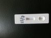 CIMG9821.jpg