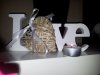 20130723_204059.jpg