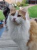 IMG_20210505_170210_Bokeh.jpg