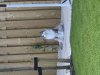 IMG_3727.jpeg