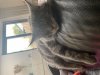 IMG_3681.jpeg