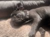 20230518_095950.jpg