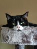 IMG_20230404_094116_Bokeh.jpg