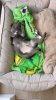 IMG-20230518-WA0006.jpg