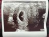 28AB8053-3E2D-49BB-B54B-D44E504C68BD.jpeg