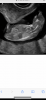26D74F02-2640-4B54-814F-7B2E5E321956.png