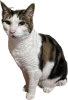 2C28924B-646A-48F9-B352-E4598E0D9514.png